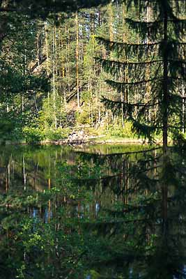 Карелия 2003. Озеро Лахналампи