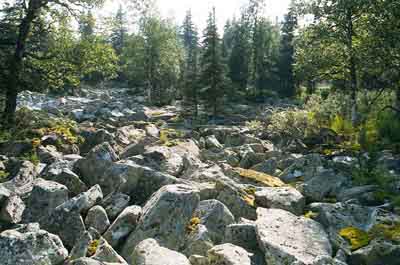 Каменные реки Зигальги 